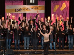 Singen der Freunde 2014